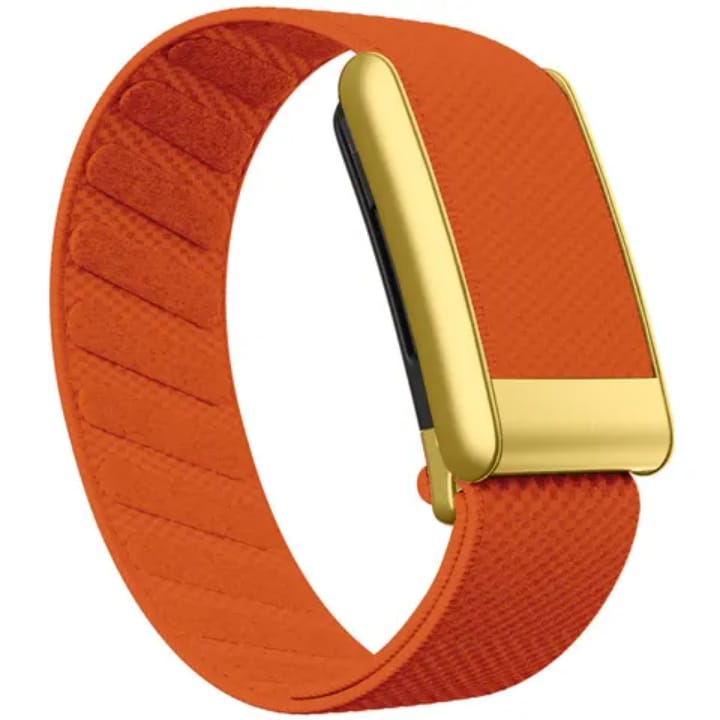 Premium Nylon Gold Strap Compatible with WHOOP 5.0PEAK – Magnetic Adjustable Replacement Band