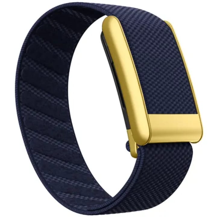 Premium Nylon Gold Strap Compatible with WHOOP 5.0PEAK  – Magnetic Adjustable Replacement Band
