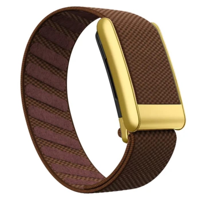 Premium Nylon Gold Strap Compatible with WHOOP 5.0PEAK  – Magnetic Adjustable Replacement Band